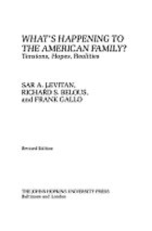 The best books on Marriage - What's Happening to the American Family? by Professor Frank Gallo, Professor Richard Belous & Professor Sara A. Levitan