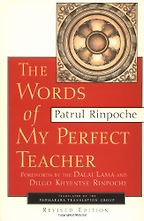 The best books on Buddhism - Words of My Perfect Teacher by Patrul Rinpoche