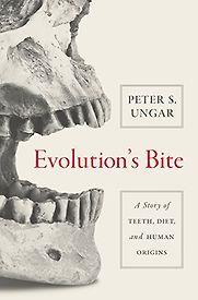 Evolution's Bite: A Story of Teeth, Diet, and Human Origins by Peter Ungar Evolution's Bite: A Story of Teeth, Diet, and Human Origins by Peter Ungar