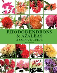 The best books on Plants and Plant Hunting - Rhododendrons and Azaleas: A Colour Guide by Kenneth Cox