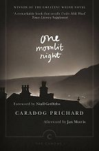 Coming of Age Novels - One Moonlit Night (Un Nos Ola Leuad) by Caradog Prichard