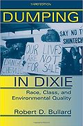 The best books on Pollution - Dumping in Dixie by Robert Bullard
