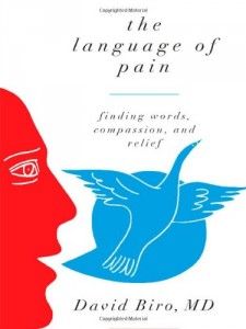The best books on Pain - The Language of Pain by David Biro