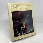 The best books on Entomology - The Ants by Bert Hölldobler & Edward O. Wilson