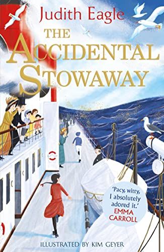 The Accidental Stowaway by Judith Eagle & Kim Geyer (illustrator)