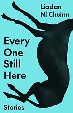 The Best Political Novels of 2026: The Orwell Prize for Fiction - Every One Still Here by Liadan Ní Chuinn The Best Political Novels of 2026: The Orwell Prize for Fiction - Every One Still Here by Liadan Ní Chuinn