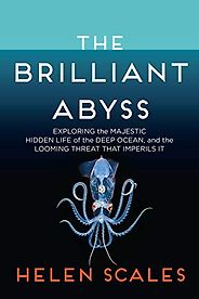 The Best Books of Ocean Journalism - The Brilliant Abyss: Exploring the Majestic Hidden Life of the Deep Ocean, and the Looming Threat That Imperils It by Helen Scales The Best Books of Ocean Journalism - The Brilliant Abyss: Exploring the Majestic Hidden Life of the Deep Ocean, and the Looming Threat That Imperils It by Helen Scales