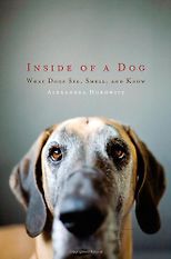 The best books on The Art of Observation - Inside of a Dog by Alexandra Horowitz