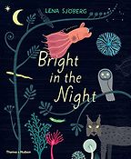 Beautiful Science Books for 4-8 Year Olds - Bright in the Night by Lena Sjöberg