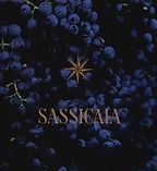 The best books on Tuscan Wine - Sassicaia : The Original Super Tuscan by Marco Fini The best books on Tuscan Wine - Sassicaia : The Original Super Tuscan by Marco Fini