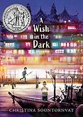 Best Children’s Books of 2021 - A Wish in the Dark by Christina Soontornvat Best Children’s Books of 2021 - A Wish in the Dark by Christina Soontornvat