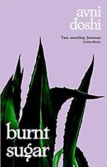 The Best Fiction of 2020: The Booker Prize Shortlist - Burnt Sugar by Avni Doshi The Best Fiction of 2020: The Booker Prize Shortlist - Burnt Sugar by Avni Doshi