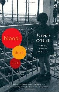 The best books on The Troubles - Blood-Dark Track by Joseph O’Neill