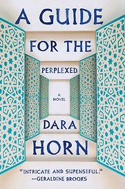A Guide for the Perplexed by Dara Horn