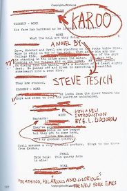 The best books on Filmmaking - Karoo by Steve Tesich The best books on Filmmaking - Karoo by Steve Tesich