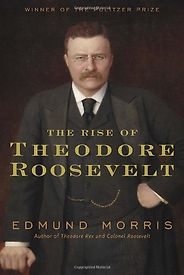 The best books on Why Economic History Matters - The Rise of Theodore Roosevelt by Edmund Morris The best books on Why Economic History Matters - The Rise of Theodore Roosevelt by Edmund Morris