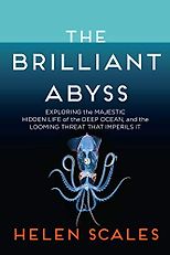 The best books on Ocean Life - The Brilliant Abyss: Exploring the Majestic Hidden Life of the Deep Ocean, and the Looming Threat That Imperils It by Helen Scales