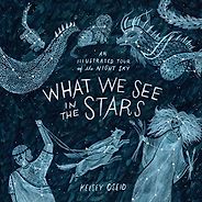 The Best Children’s Nonfiction of 2018 - What We See in the Stars: An Illustrated Tour of the Night Sky by Kelsey Oseid The Best Children’s Nonfiction of 2018 - What We See in the Stars: An Illustrated Tour of the Night Sky by Kelsey Oseid