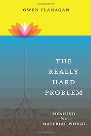 The best books on The Meaning of Life - The Really Hard Problem by Owen Flanagan The best books on The Meaning of Life - The Really Hard Problem by Owen Flanagan