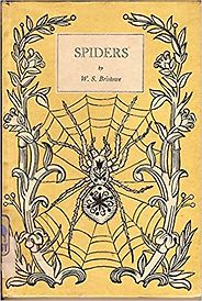 The best books on Spiders - A Book of Spiders by W S Bristowe The best books on Spiders - A Book of Spiders by W S Bristowe