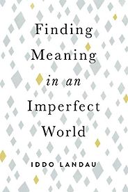 The best books on Time Management - Finding Meaning in an Imperfect World by Iddo Landau
