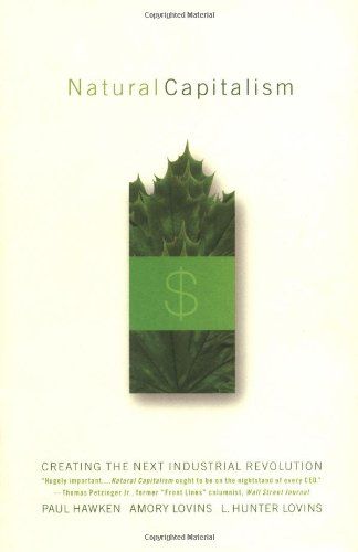 Natural Capitalism - Five Books Expert Reviews