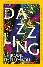 The Best Novels about Witches and Witch Hunts - Dazzling: A Novel by Chikodili Emelumadu