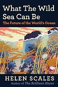 The Best Nonfiction Books: The 2025 Women’s Prize for Nonfiction - What the Wild Sea Can Be: The Future of the World’s Ocean by Helen Scales The Best Nonfiction Books: The 2025 Women’s Prize for Nonfiction - What the Wild Sea Can Be: The Future of the World’s Ocean by Helen Scales