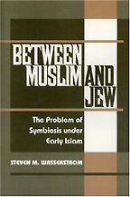 The best books on Jewish History - Between Muslim and Jew by Steven Wasserstrom