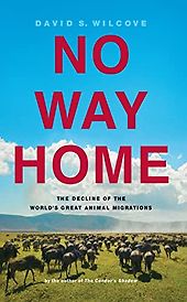 The best books on Ecology - No Way Home: The Decline of the World's Great Animal Migrations by David S. Wilcove The best books on Ecology - No Way Home: The Decline of the World's Great Animal Migrations by David S. Wilcove