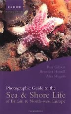The best books on Tides and Shorelines - Photographic Guide to the Sea & Shore Life of Britain & North-west Europe by Alex Rogers, Benedict Hextall & Ray Gibson