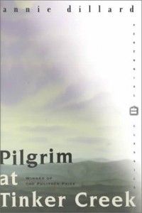 The best books on Silence - Pilgrim at Tinker Creek by Annie Dillard