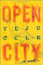 The Best 9/11 Literature - Open City by Teju Cole
