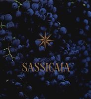The best books on Tuscan Wine - Sassicaia : The Original Super Tuscan by Marco Fini The best books on Tuscan Wine - Sassicaia : The Original Super Tuscan by Marco Fini
