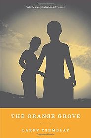 The Best Quebec Books - The Orange Grove by Larry Tremblay The Best Quebec Books - The Orange Grove by Larry Tremblay