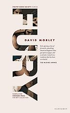 The Best Poetry Books of 2020 - Fury by David Morley The Best Poetry Books of 2020 - Fury by David Morley