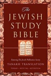 The Best Versions of the Bible - The Jewish Study Bible (TANAKH Translation) by Adele Berlin, Marc Zvi Brettler & Michael Fishbane