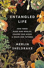 The Best Nature Books of 2020 - Entangled Life: How Fungi Make Our Worlds, Change Our Minds & Shape Our Futures by Merlin Sheldrake The Best Nature Books of 2020 - Entangled Life: How Fungi Make Our Worlds, Change Our Minds & Shape Our Futures by Merlin Sheldrake