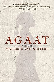 The best books on Identity in South Africa - Agaat by Marlene van Niekerk The best books on Identity in South Africa - Agaat by Marlene van Niekerk
