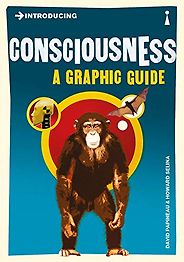 Consciousness for Beginners: the best book - Introducing Consciousness: A Graphic Guide by David Papineau & Howard Selina