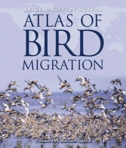 The best books on Birds - Atlas of Bird Migration by Jonathan Elphick & Jonathan Elphick (editor)
