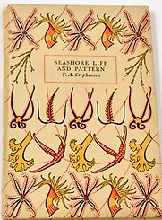 Seashore Life and Pattern by T A Stevenson Seashore Life and Pattern by T A Stevenson