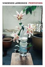 The Best Fiction Books: The 2025 International Booker Prize - Perfection by Vincenzo Latronico, translated by Sophie Hughes The Best Fiction Books: The 2025 International Booker Prize - Perfection by Vincenzo Latronico, translated by Sophie Hughes