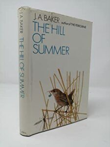 The best books on Summer - The Hill of Summer by J A Baker