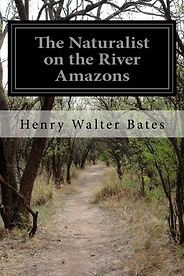 The best books on Neuroscience as a Career - The Naturalist on the River Amazons by Henry Walter Bates The best books on Neuroscience as a Career - The Naturalist on the River Amazons by Henry Walter Bates