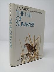 The best books on Summer - The Hill of Summer by J A Baker The best books on Summer - The Hill of Summer by J A Baker