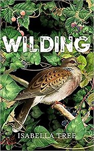 The best books on Wilderness - Wilding: The Return of Nature to a British Farm by Isabella Tree The best books on Wilderness - Wilding: The Return of Nature to a British Farm by Isabella Tree