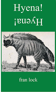 Hyena! by Fran Lock Hyena! by Fran Lock