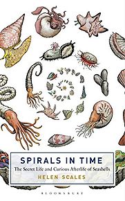 Spirals in Time: The Secret Life and Curious Afterlife of Seashells by Helen Scales Spirals in Time: The Secret Life and Curious Afterlife of Seashells by Helen Scales