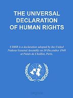 The best books on Human Rights - The Universal Declaration of Human Rights 
